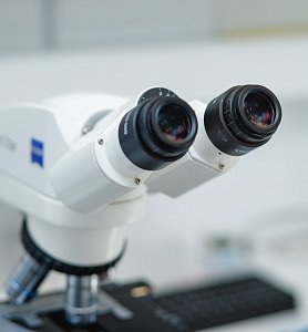 Генетический анализ при планировании беременности