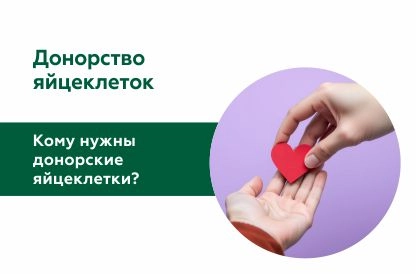 Донорство яйцеклеток